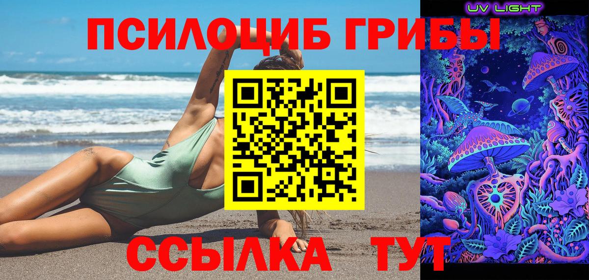 Псилоцибиновые грибы ЛСД  Галлюциногенные грибы Cubensis  где купить   Лесосибирск  Вход с VPN 